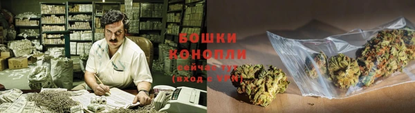 сатива Надым