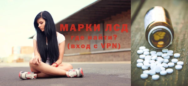 сатива Надым