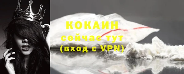 сатива Надым