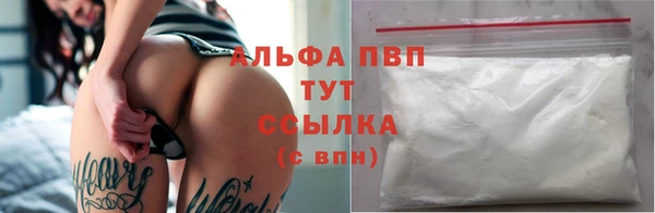 сатива Надым