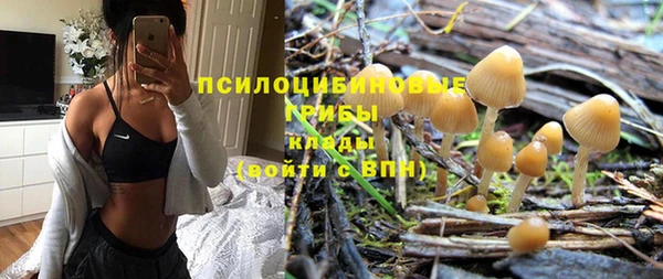 сатива Надым