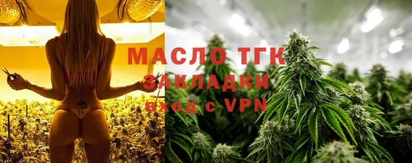сатива Надым