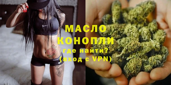 сатива Надым