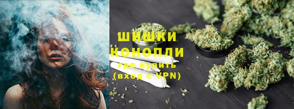 сатива Надым