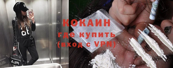 сатива Надым
