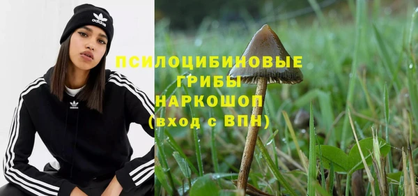 бутират Билибино