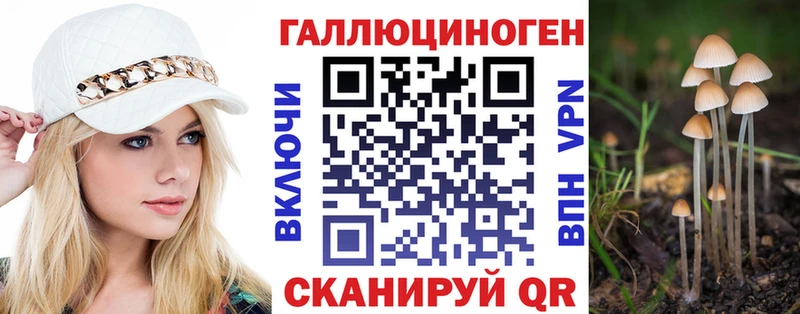 Купить Жирновск Галлюциногенные грибы мицелий